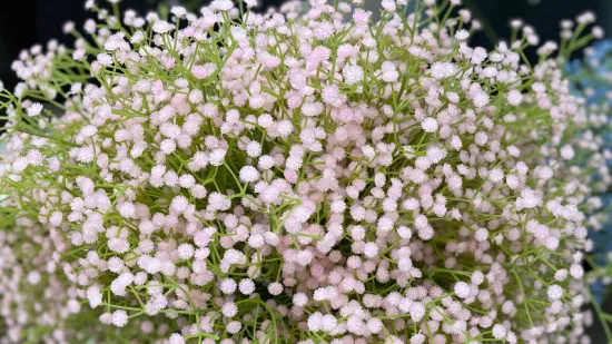 工場価格造花カスミソウ Babysbreath 結婚式の装飾の背景